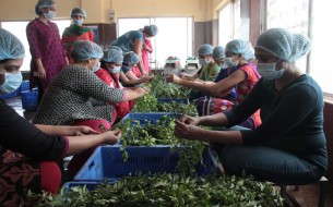 SanDisk volunteers spent over an hour in the processing area where they helped in cleaning and cutting vegetables